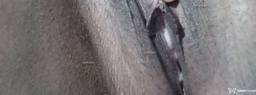 Dekinha Acompanhante Dekinha - Cabeçalho