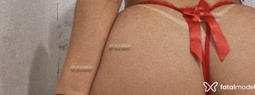Pietra Acompanhante Pietra - Cabeçalho