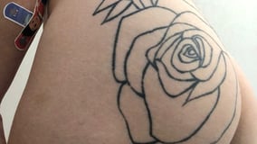 Sininho Acompanhante Sininho - Cabeçalho