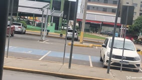 Silva Acompanhante Silva - Cabeçalho