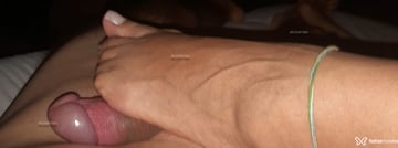 Acompanhante Morenotarado - Cabeçalho