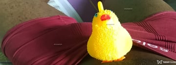 Libertino Acompanhante Libertino - Cabeçalho