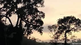 Drogba Acompanhante Drogba - Cabeçalho