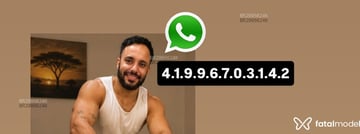 Acompanhante Lincon - Cabeçalho
