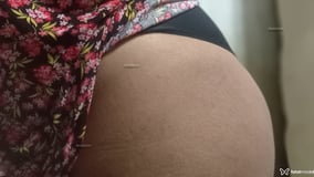Cacauzinha Acompanhante Cacauzinha - Cabeçalho