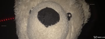 Acompanhante Bebeluca - Cabeçalho