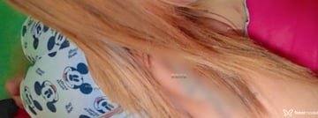 Casalsexyst Acompanhante Casalsexyst - Cabeçalho