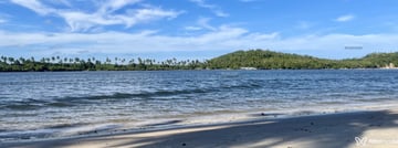 Acompanhante Beatriz - Cabeçalho