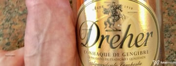 Acompanhante Dante Orion - Cabeçalho