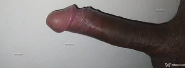 Acompanhante Jhow Silvaneis - Cabeçalho