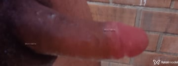 Ativodotado Acompanhante Ativodotado - Cabeçalho