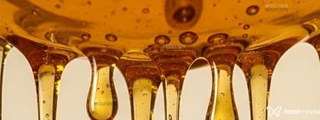 Honey Acompanhante Honey - Cabeçalho
