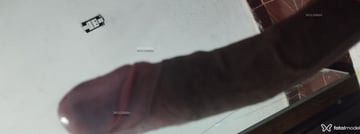 Acompanhante Pedro Sampaio - Cabeçalho