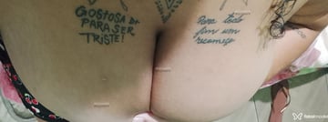 Acompanhante Pampamzinha - Cabeçalho