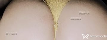 Acompanhante Atentada - Cabeçalho