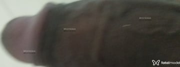 Acompanhante Danadinho - Cabeçalho