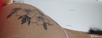 Dudinhaa Acompanhante Dudinhaa - Cabeçalho