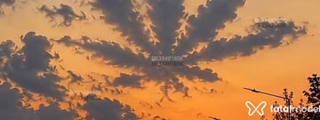 Acompanhante Moreninho - Cabeçalho