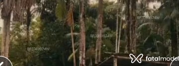 Acompanhante Annyzinha Silva - Cabeçalho