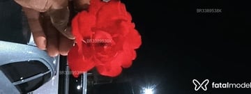 Acompanhante Bela Rosaaa - Cabeçalho