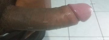 Yannsafadinho Acompanhante Yannsafadinho - Cabeçalho