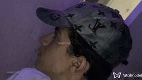 Alangms Acompanhante Alangms - Cabeçalho