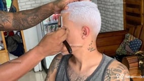 Lucas Acompanhante Lucas - Cabeçalho
