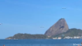 Pollyana Acompanhante Pollyana - Cabeçalho