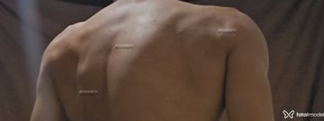 Teu Gigante Acompanhante Teu Gigante - Cabeçalho