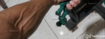MorenoGostoso Acompanhante MorenoGostoso - Cabeçalho
