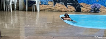 Sofia Acompanhante Sofia - Cabeçalho