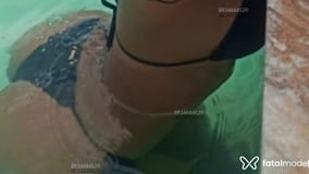 Letícia Ferrás Acompanhante Letícia Ferrás - Cabeçalho