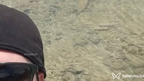 Godinfofin Acompanhante Godinfofin - Cabeçalho