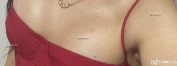 Acompanhante Estela - Cabeçalho