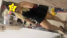 Erika Acompanhante Erika - Cabeçalho