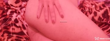 Acompanhante Ninfentinha - Cabeçalho