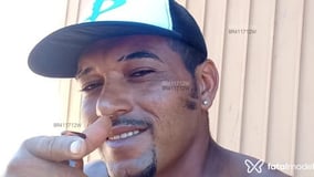 Pereira Acompanhante Pereira - Cabeçalho