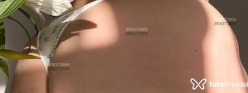 Acompanhante Aline - Cabeçalho