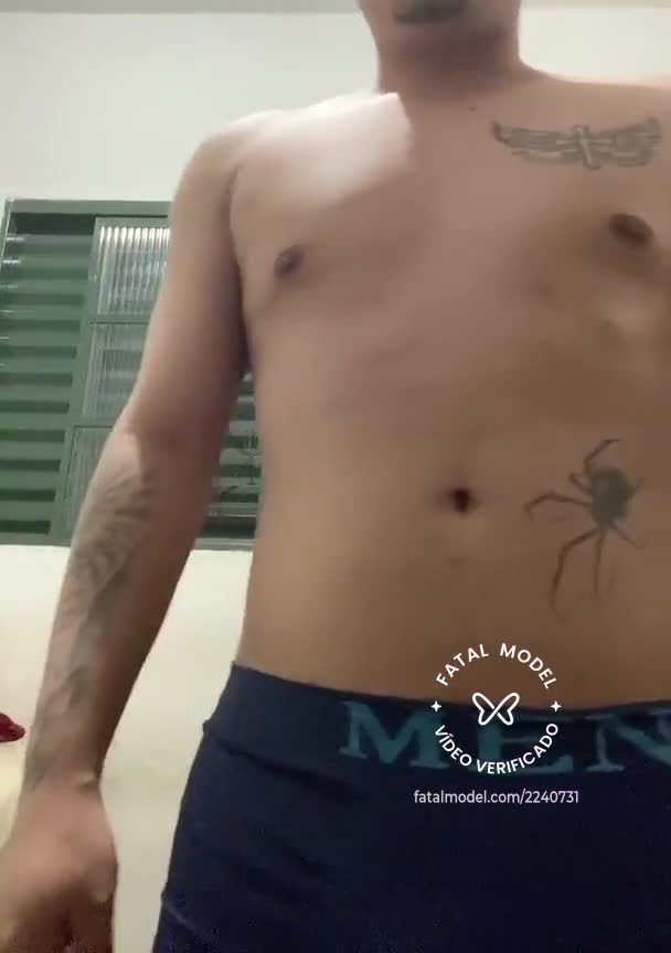 Imagem do vídeo de verificação de Novinhogts