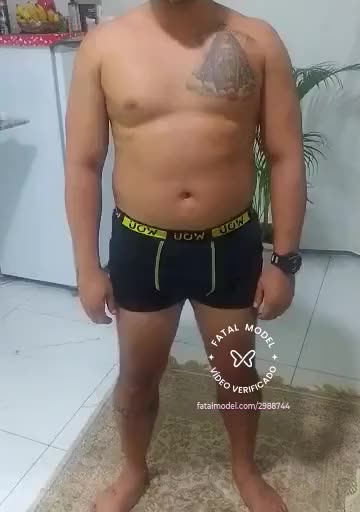 Imagem do vídeo de verificação de Felino