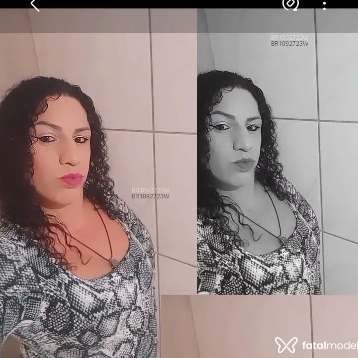 Acompanhante BIBIH - Feed