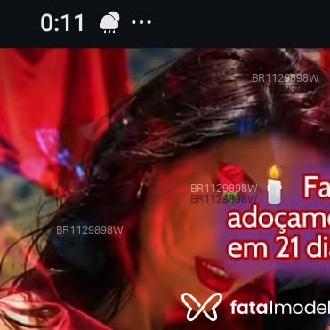 Acompanhante Bia - Feed