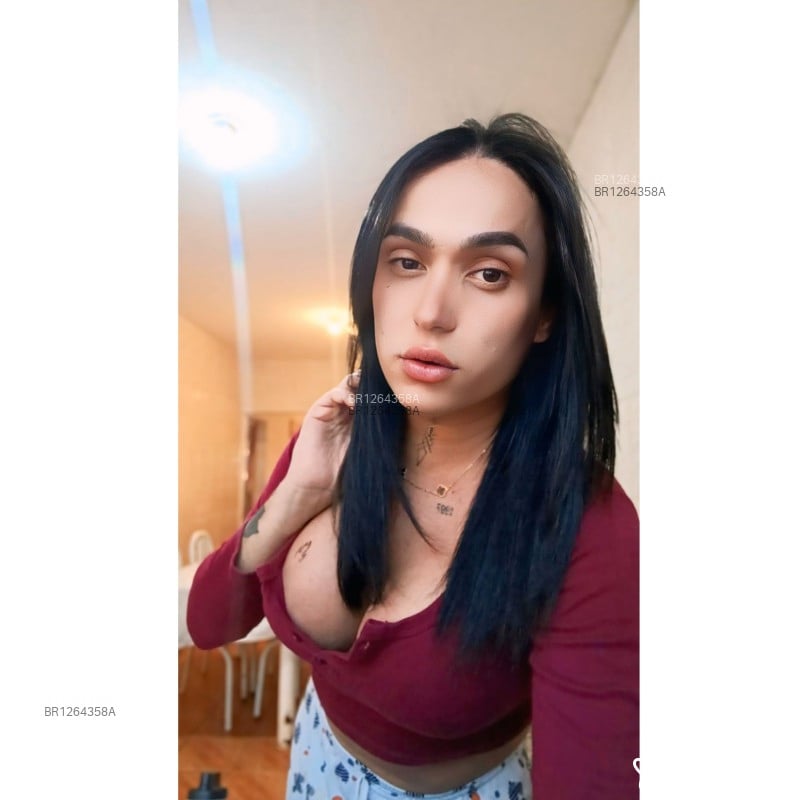 Acompanhante Fer - Feed
