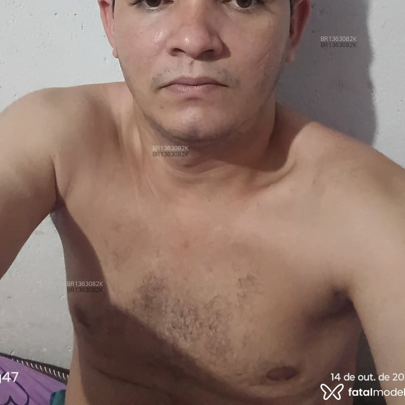 Acompanhante Pereira - Feed