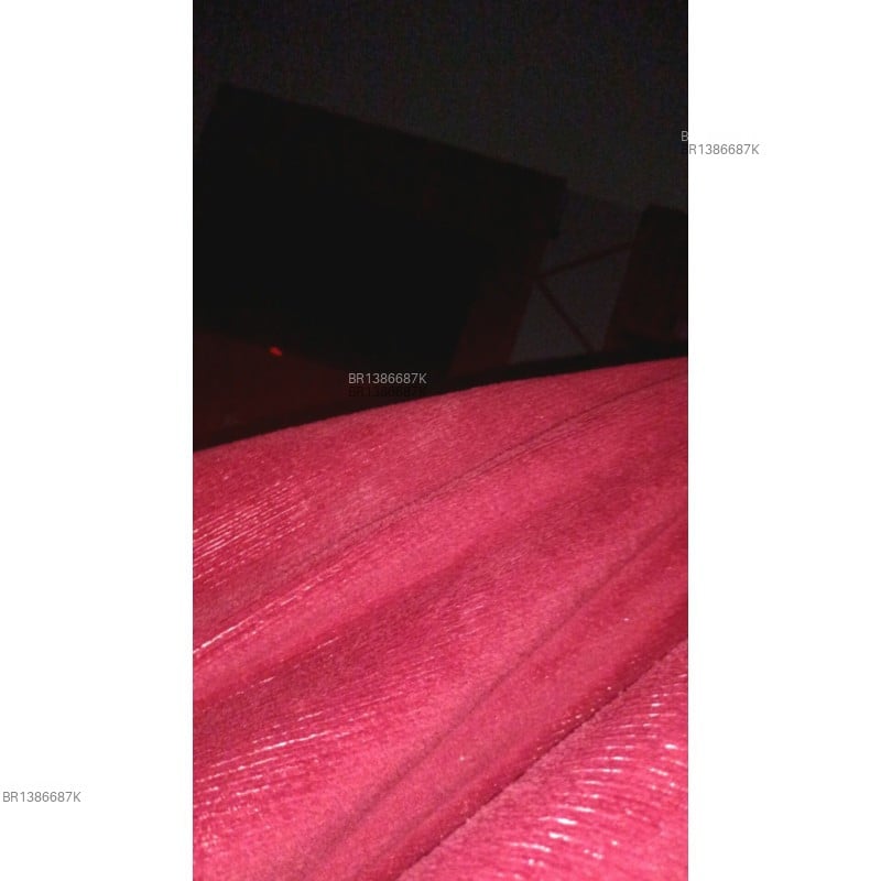 Acompanhante Lari Cruz - Feed