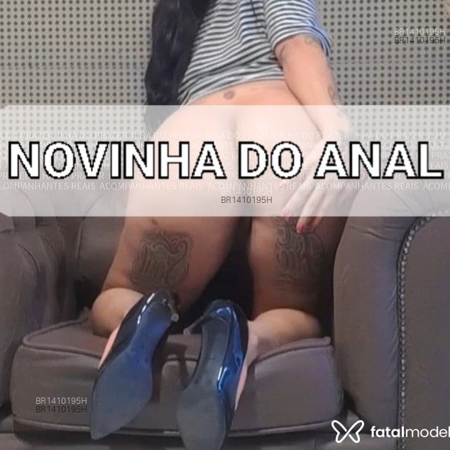 Acompanhante Paulista - Feed