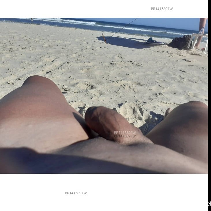 Acompanhante Profesarado - Feed