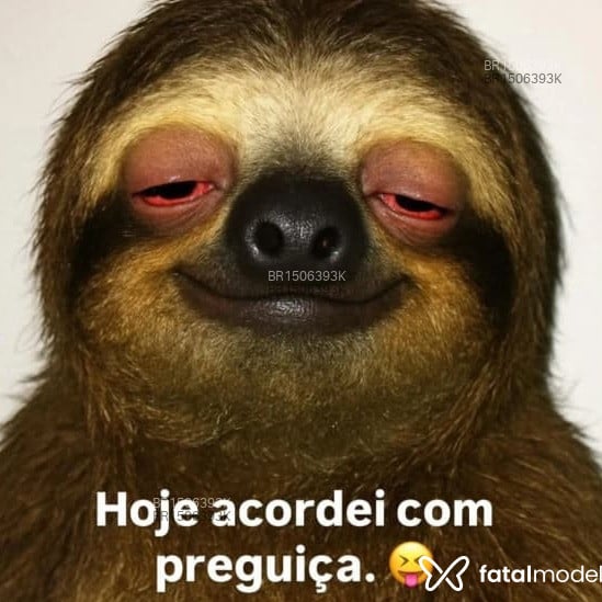 Acompanhante Morena Mansur - Feed
