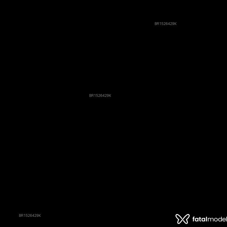 Acompanhante Bemdotado - Feed