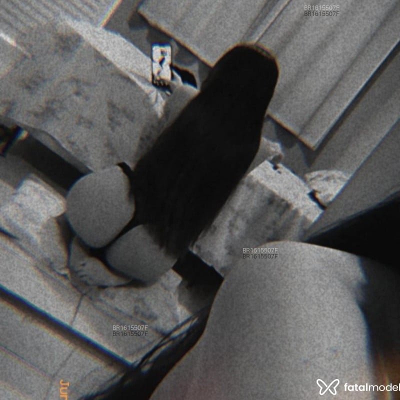 Acompanhante Nicole - Feed